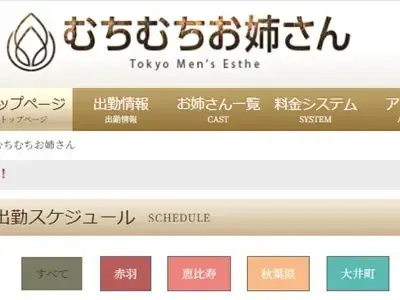 「むちむちお姉さん」池袋ルーム