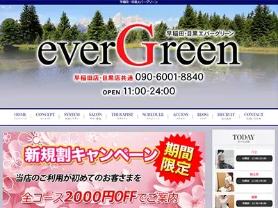 西早稲田 エバーグリーン