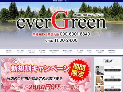 西早稲田 エバーグリーン